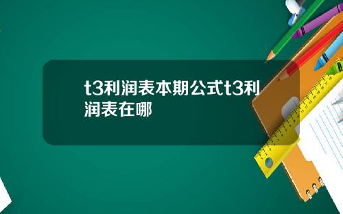 t3利润表本期公式t3利润表在哪