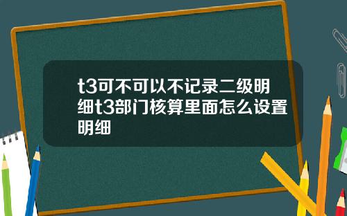t3可不可以不记录二级明细t3部门核算里面怎么设置明细