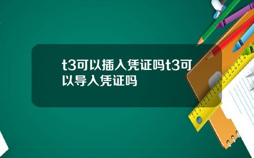 t3可以插入凭证吗t3可以导入凭证吗