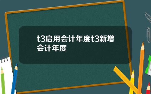 t3启用会计年度t3新增会计年度