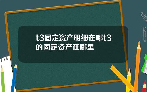 t3固定资产明细在哪t3的固定资产在哪里