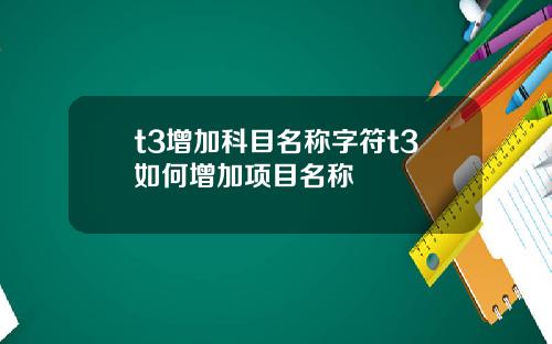 t3增加科目名称字符t3如何增加项目名称