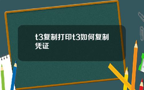 t3复制打印t3如何复制凭证