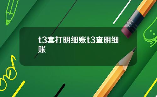 t3套打明细账t3查明细账