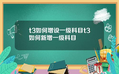 t3如何增设一级科目t3如何新增一级科目