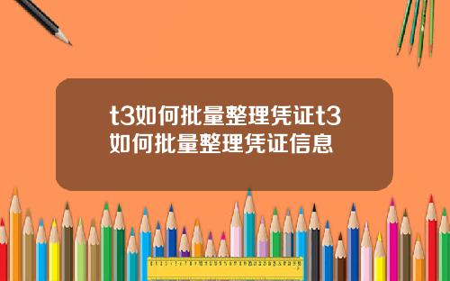 t3如何批量整理凭证t3如何批量整理凭证信息
