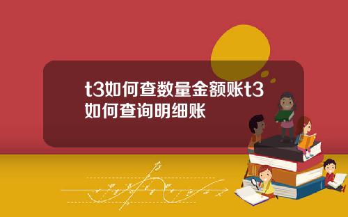 t3如何查数量金额账t3如何查询明细账