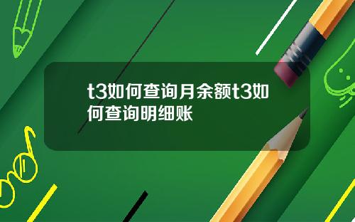 t3如何查询月余额t3如何查询明细账