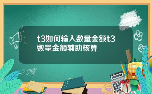 t3如何输入数量金额t3数量金额辅助核算