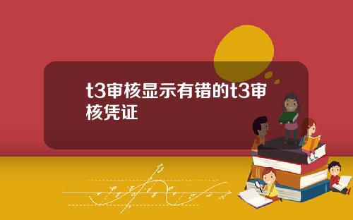 t3审核显示有错的t3审核凭证