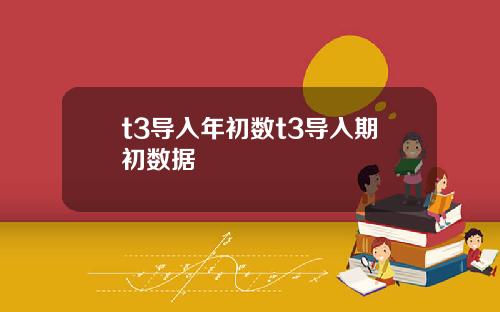 t3导入年初数t3导入期初数据