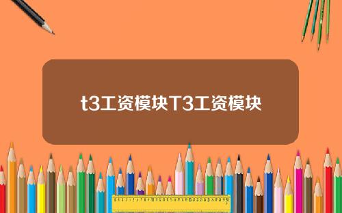 t3工资模块T3工资模块