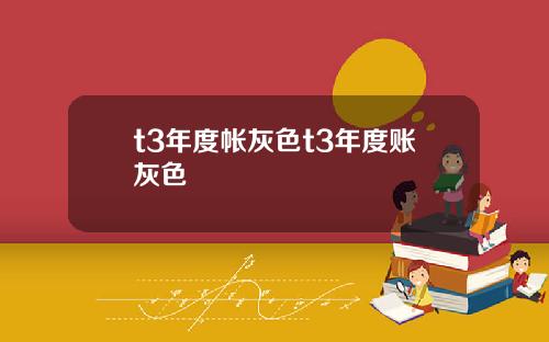 t3年度帐灰色t3年度账灰色