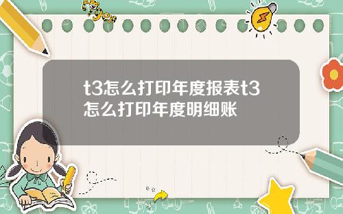 t3怎么打印年度报表t3怎么打印年度明细账
