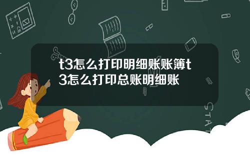 t3怎么打印明细账账簿t3怎么打印总账明细账