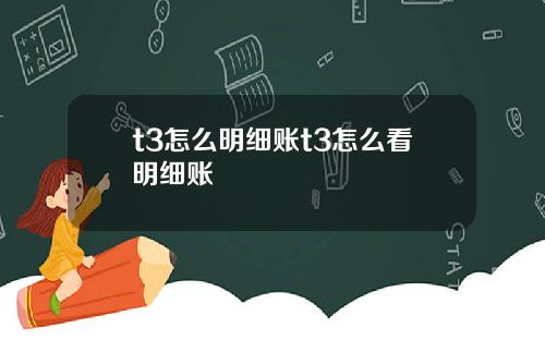 t3怎么明细账t3怎么看明细账