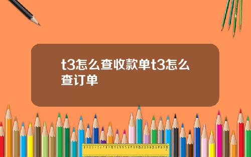 t3怎么查收款单t3怎么查订单