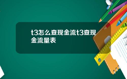 t3怎么查现金流t3查现金流量表