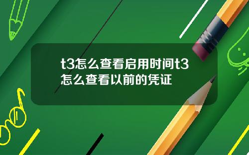 t3怎么查看启用时间t3怎么查看以前的凭证