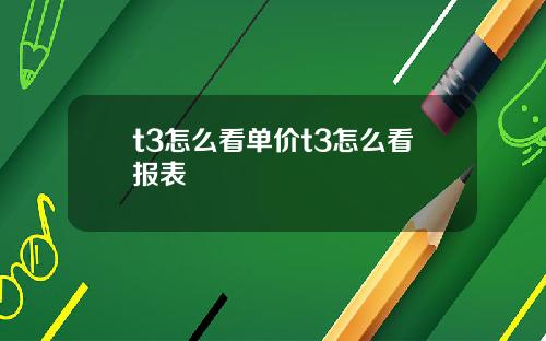 t3怎么看单价t3怎么看报表