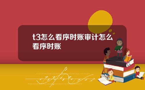t3怎么看序时账审计怎么看序时账