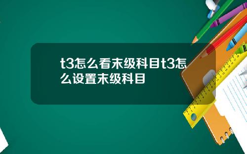t3怎么看末级科目t3怎么设置末级科目