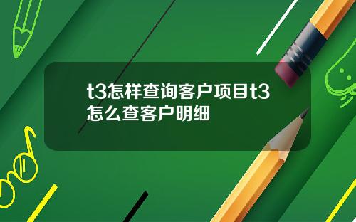 t3怎样查询客户项目t3怎么查客户明细