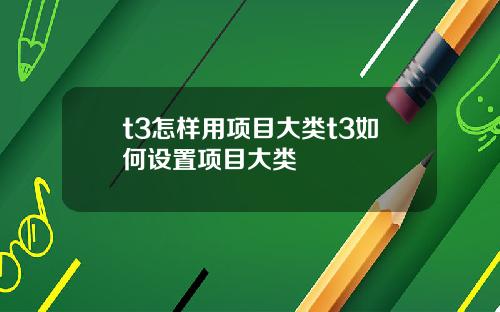 t3怎样用项目大类t3如何设置项目大类