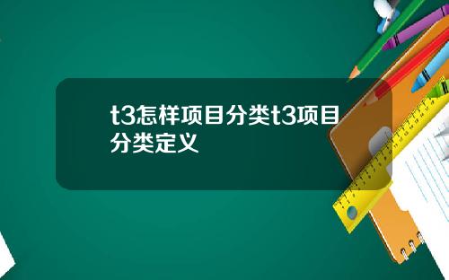 t3怎样项目分类t3项目分类定义