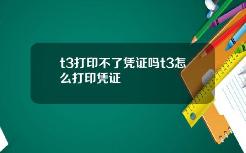 t3打印不了凭证吗t3怎么打印凭证
