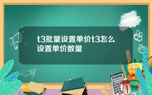 t3批量设置单价t3怎么设置单价数量