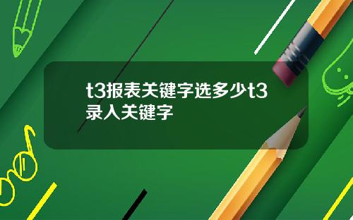 t3报表关键字选多少t3录入关键字