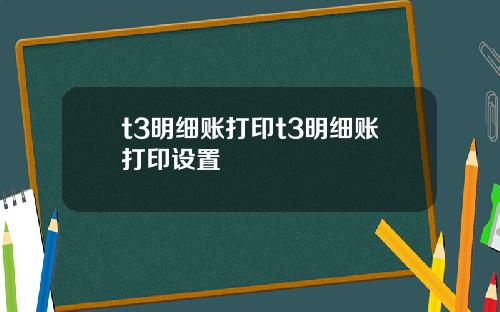t3明细账打印t3明细账打印设置