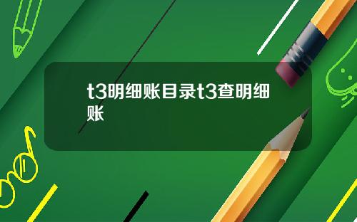 t3明细账目录t3查明细账