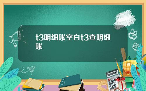 t3明细账空白t3查明细账