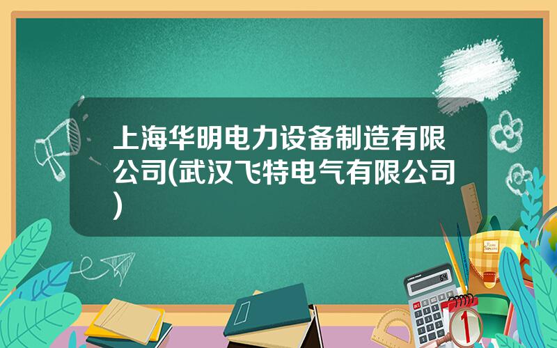 上海华明电力设备制造有限公司(武汉飞特电气有限公司)