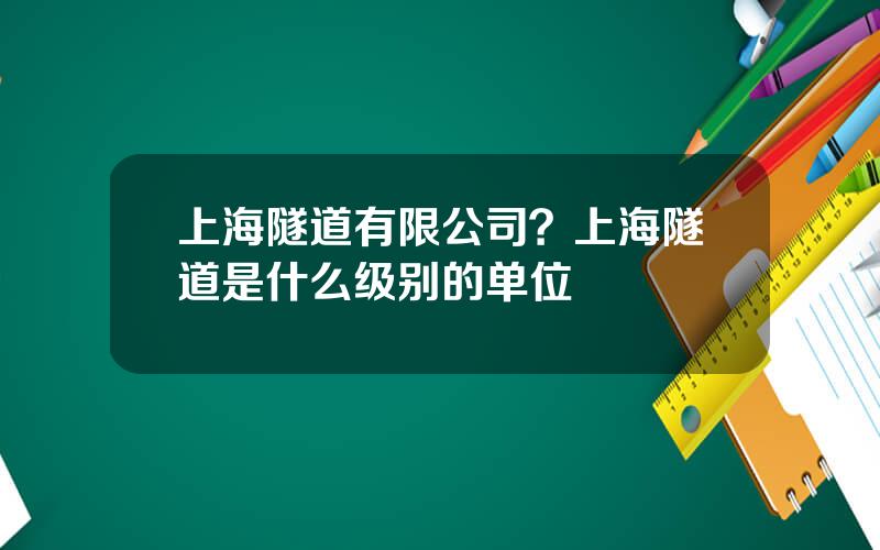 上海隧道有限公司？上海隧道是什么级别的单位