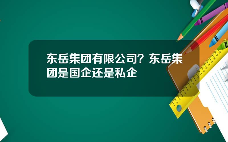 东岳集团有限公司？东岳集团是国企还是私企