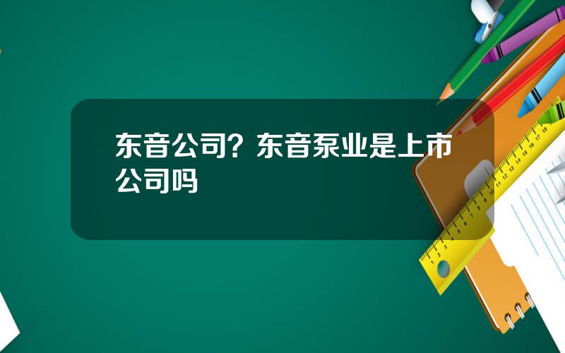 东音公司？东音泵业是上市公司吗