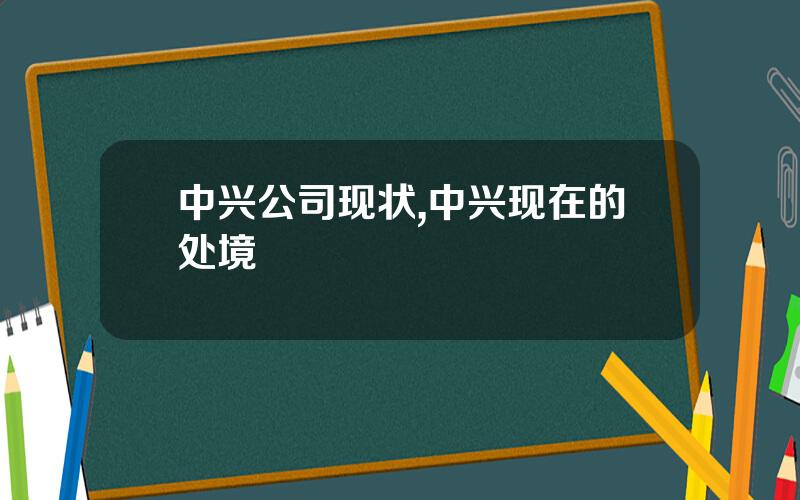 中兴公司现状,中兴现在的处境