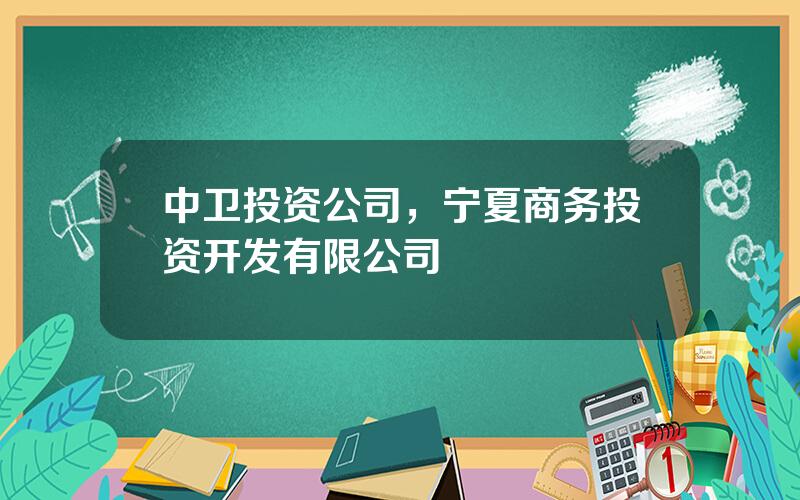 中卫投资公司，宁夏商务投资开发有限公司