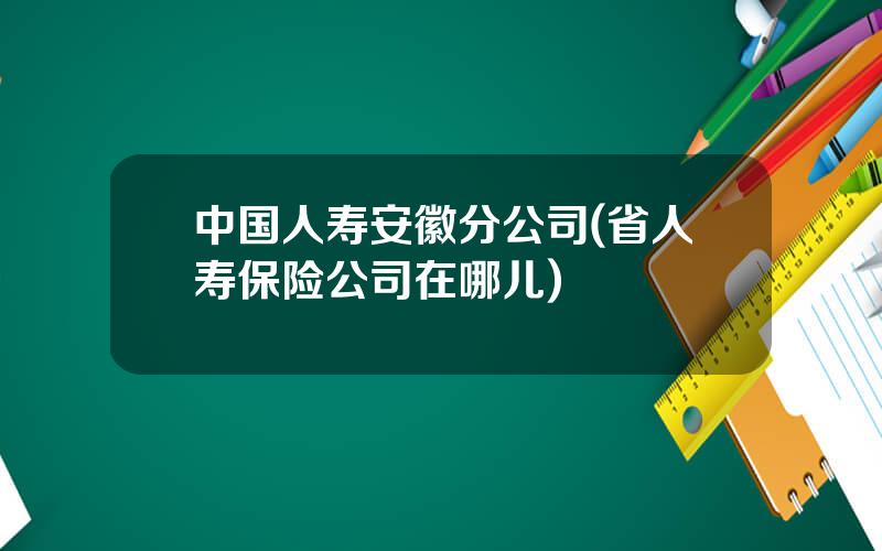 中国人寿安徽分公司(省人寿保险公司在哪儿)