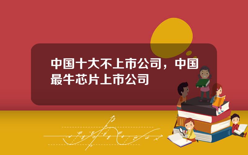 中国十大不上市公司，中国最牛芯片上市公司