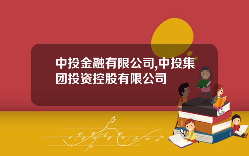 中投金融有限公司,中投集团投资控股有限公司
