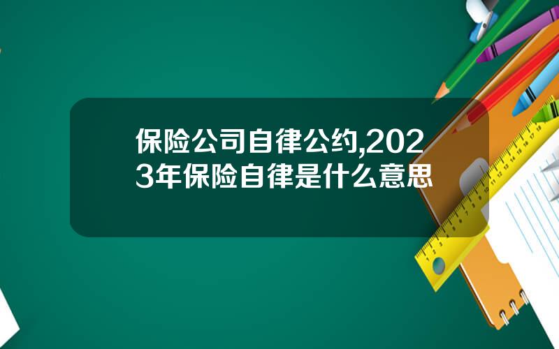 保险公司自律公约,2023年保险自律是什么意思