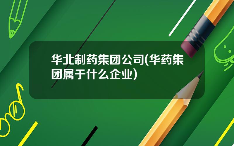 华北制药集团公司(华药集团属于什么企业)