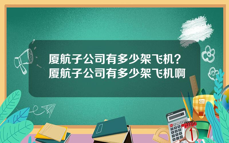 厦航子公司有多少架飞机？厦航子公司有多少架飞机啊