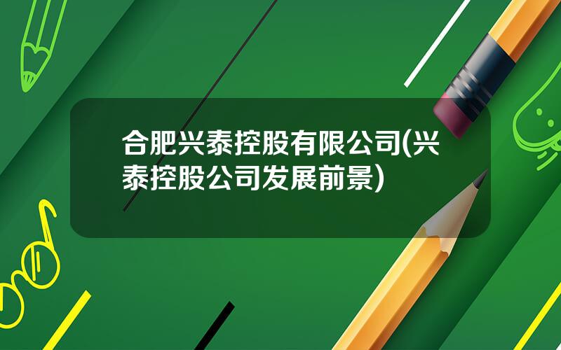 合肥兴泰控股有限公司(兴泰控股公司发展前景)