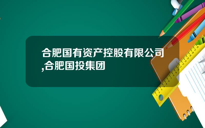 合肥国有资产控股有限公司,合肥国投集团