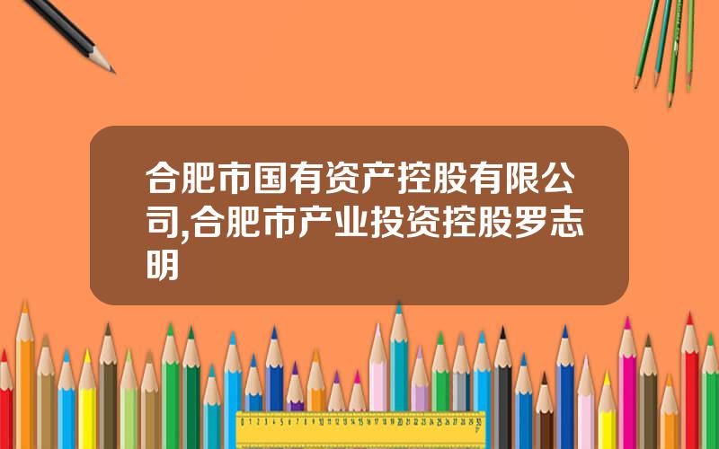 合肥市国有资产控股有限公司,合肥市产业投资控股罗志明